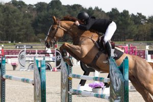 Le Grand Parquet Fontainebleau