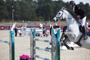 Le Grand Parquet Fontainebleau