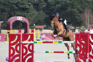 Le Grand Parquet Fontainebleau
