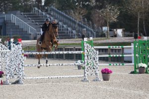 Le Grand Parquet Fontainebleau