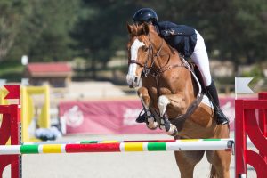 Le Grand Parquet Fontainebleau