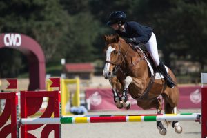 Le Grand Parquet Fontainebleau