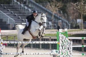 Le Grand Parquet Fontainebleau