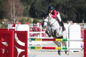 Le Grand Parquet Fontainebleau