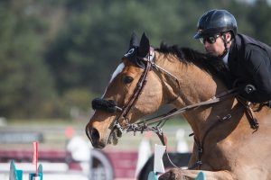 Le Grand Parquet Fontainebleau