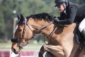 Le Grand Parquet Fontainebleau