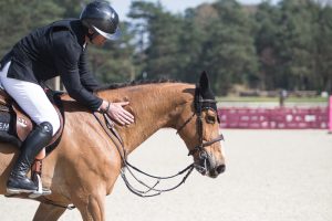 Le Grand Parquet Fontainebleau