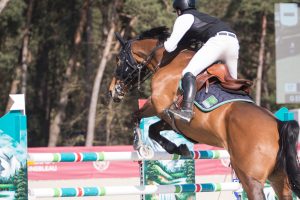 Le Grand Parquet Fontainebleau