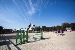 Le Grand Parquet Fontainebleau