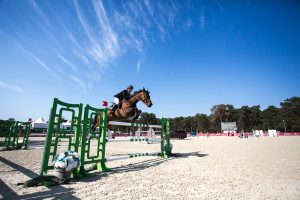 Le Grand Parquet Fontainebleau