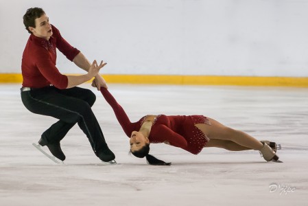 Patinage artistique, Championnats de France à Dammarie-les-Lys, décembre 2011