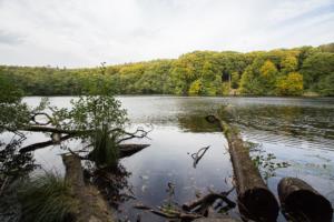 La côte Baltique Allemande