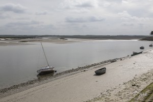 Baie de Somme, juin 2013