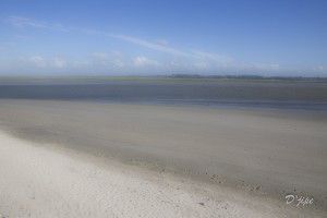 Baie de Somme, juin 2013