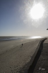 Baie de Somme, juin 2013