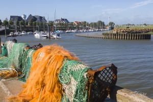 Baie de Somme, juin 2013