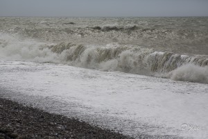 Baie de Somme, juin 2013