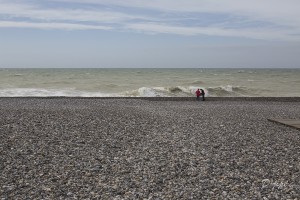 Baie de Somme, juin 2013