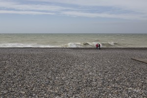 Baie de Somme, juin 2013