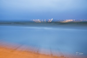 Baie de Somme, juin 2013