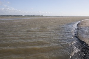 Baie de Somme, juin 2013