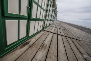 Baie de Somme, juin 2013