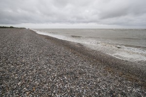 Baie de Somme, juin 2013