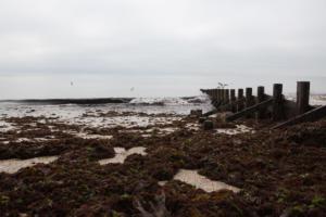 Île de Noirmoutier