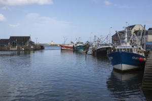 En Normandie et Cotentin, mai 2015