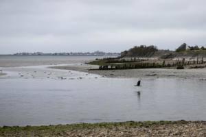 En Normandie et Cotentin, mai 2015