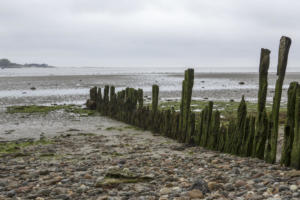 En Normandie et Cotentin, mai 2015