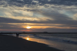 En Normandie et Cotentin, mai 2015