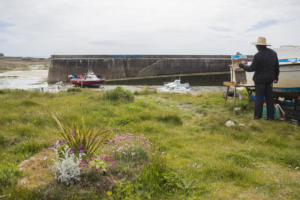 En Normandie et Cotentin, mai 2015