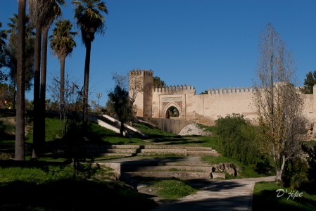 Fès, Maroc, décembre 2004