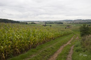 Nord de la France et Belgique, août 2011