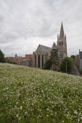 Nord de la France et Belgique, août 2011