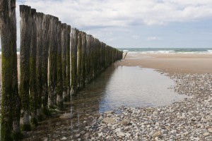 Nord de la France et Belgique, août 2011_Sangatte