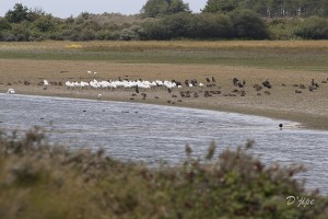 Nord de la France et Belgique, août 2011