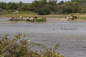 Nord de la France et Belgique, août 2011