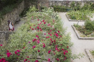 Périple autour du Rhin, juin 2014