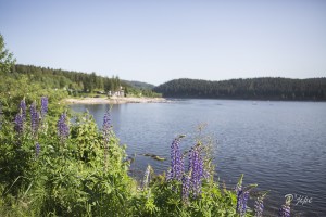 Périple autour du Rhin, juin 2014