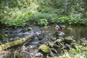 Périple autour du Rhin, juin 2014