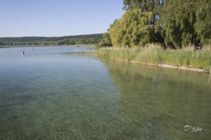 Périple autour du Rhin, juin 2014