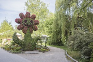 Périple autour du Rhin, juin 2014