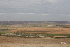 Retour à Belchite, avril 2014