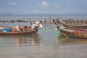 Thailande, décembre 2010