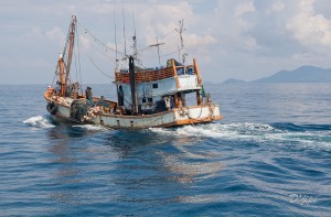 Thailande, décembre 2010